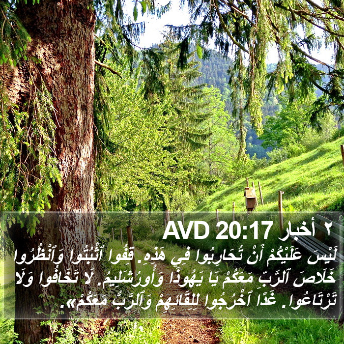 ٢ أخبار 20:17 AVD Bible Study