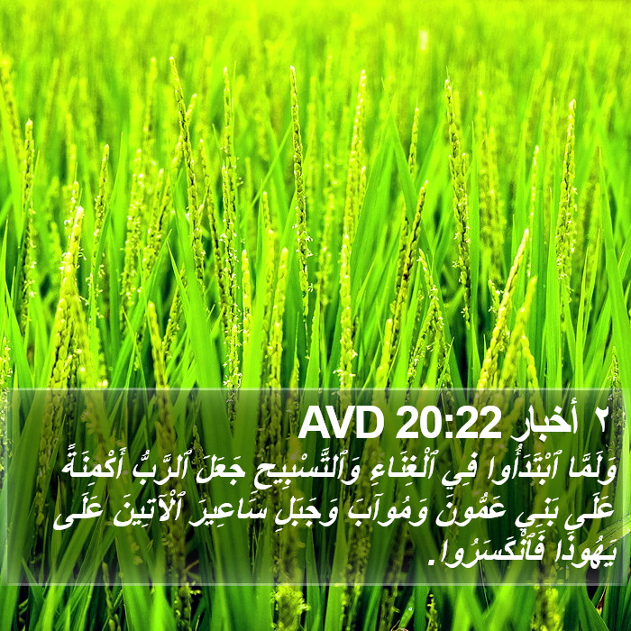 ٢ أخبار 20:22 AVD Bible Study