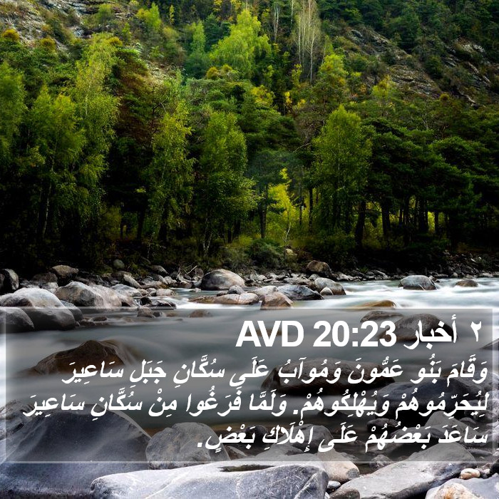 ٢ أخبار 20:23 AVD Bible Study