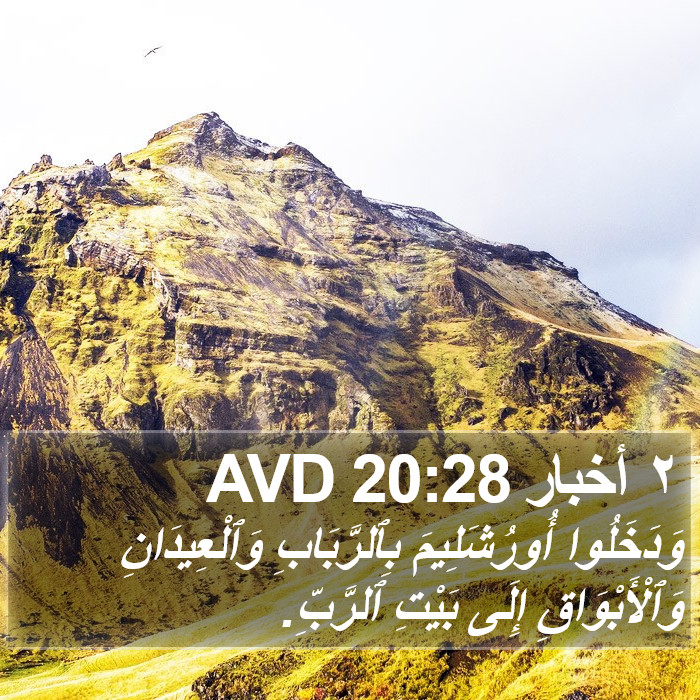 ٢ أخبار 20:28 AVD Bible Study