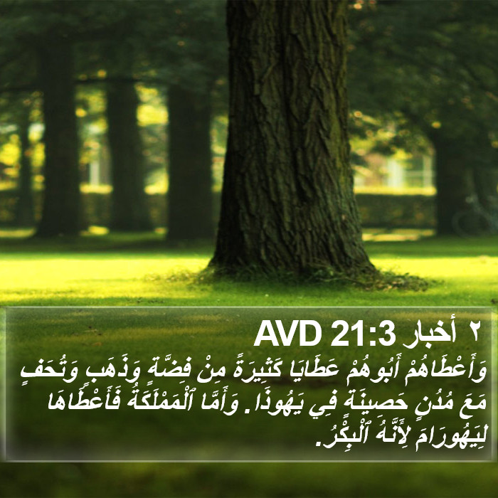 ٢ أخبار 21:3 AVD Bible Study