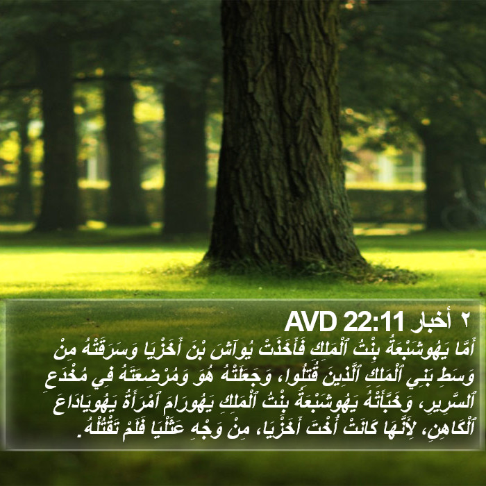 ٢ أخبار 22:11 AVD Bible Study