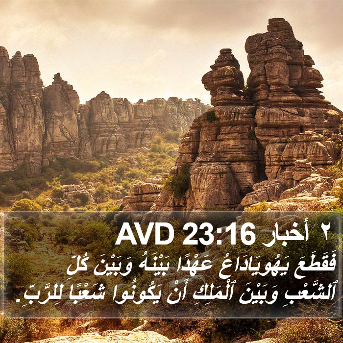٢ أخبار 23:16 AVD Bible Study