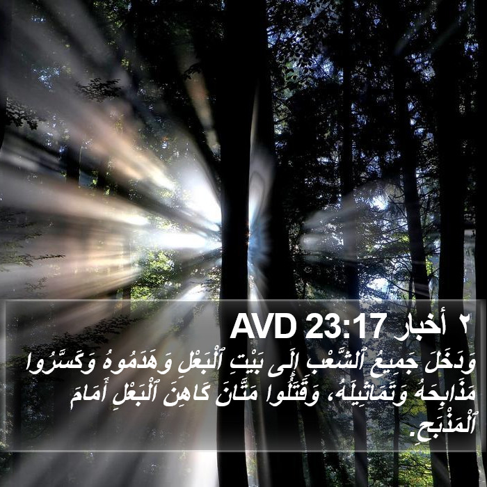 ٢ أخبار 23:17 AVD Bible Study