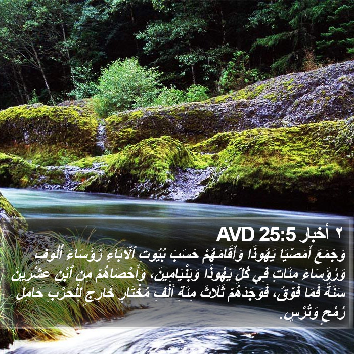 ٢ أخبار 25:5 AVD Bible Study