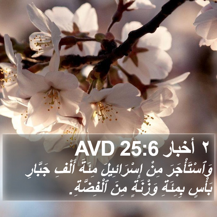 ٢ أخبار 25:6 AVD Bible Study