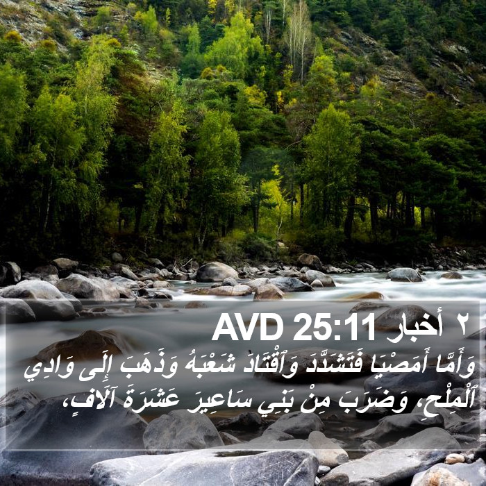 ٢ أخبار 25:11 AVD Bible Study