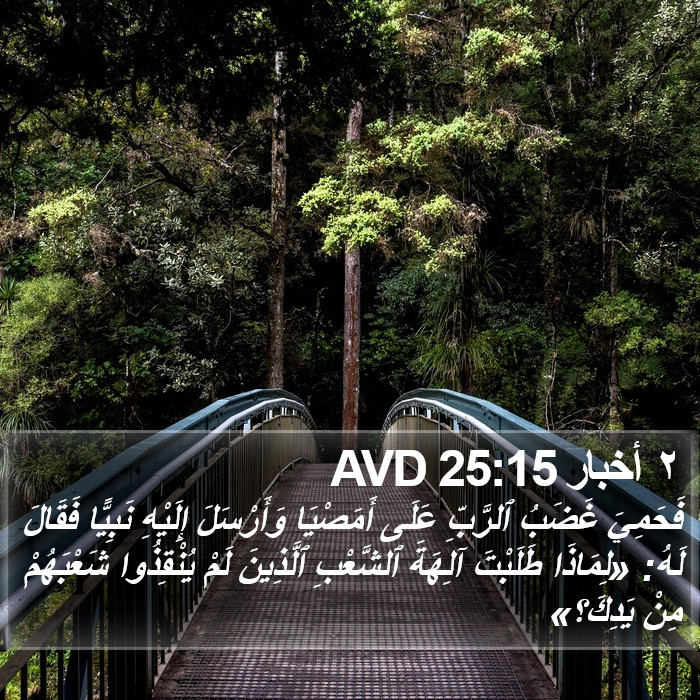 ٢ أخبار 25:15 AVD Bible Study