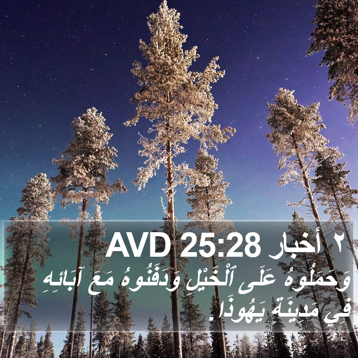 ٢ أخبار 25:28 AVD Bible Study