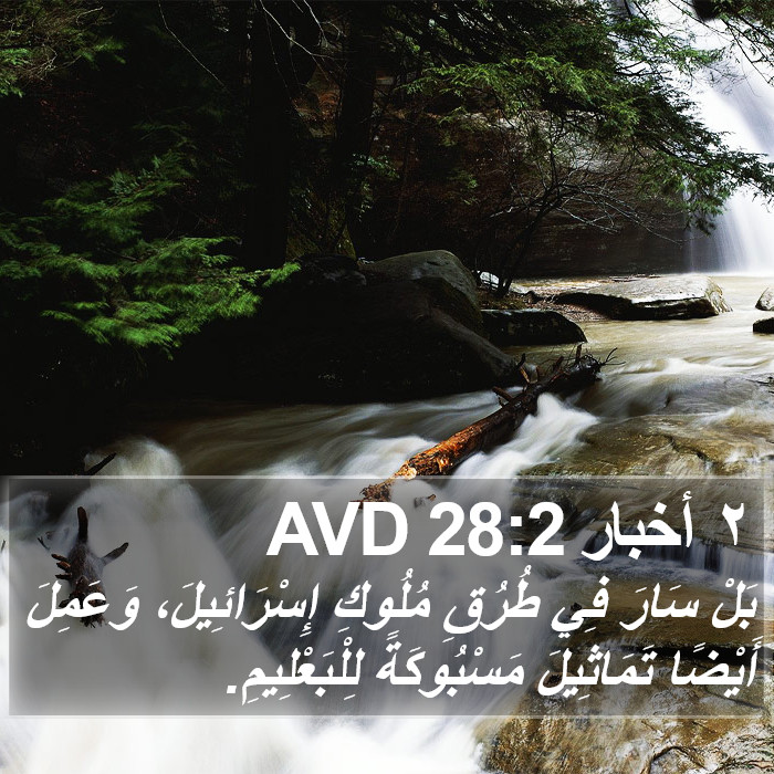 ٢ أخبار 28:2 AVD Bible Study