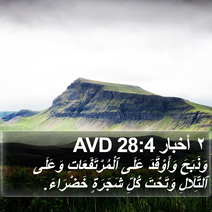 ٢ أخبار 28:4 AVD Bible Study