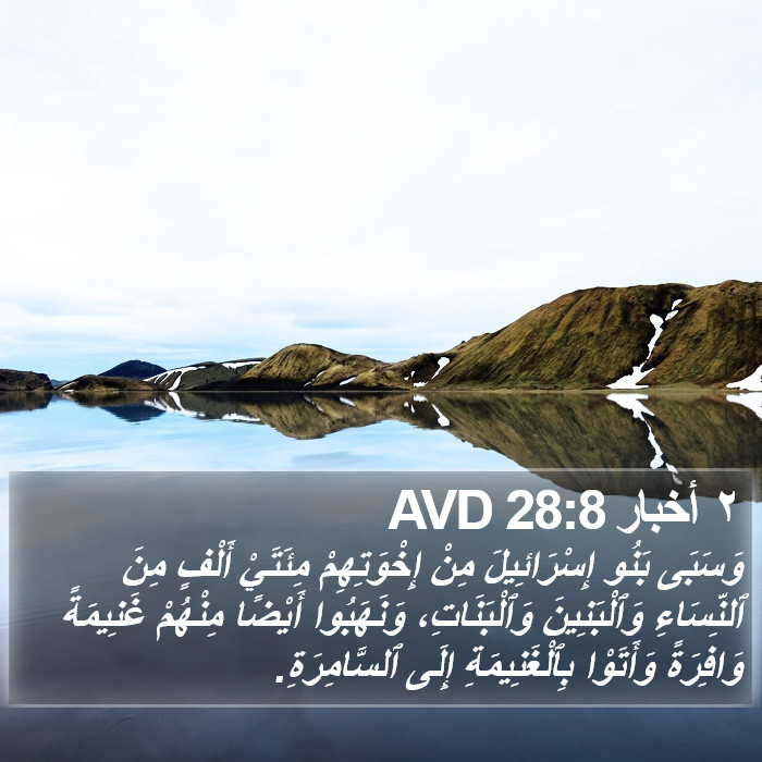 ٢ أخبار 28:8 AVD Bible Study