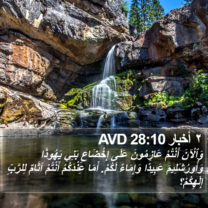 ٢ أخبار 28:10 AVD Bible Study
