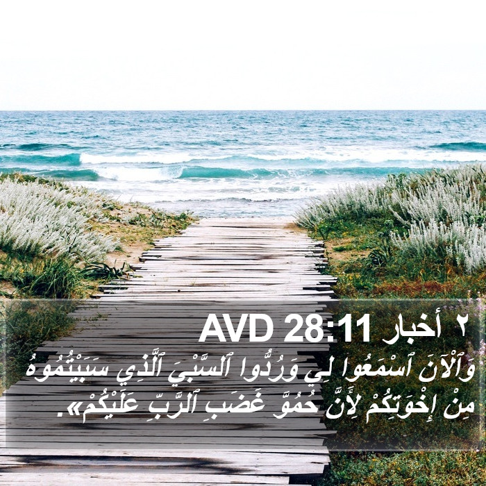 ٢ أخبار 28:11 AVD Bible Study