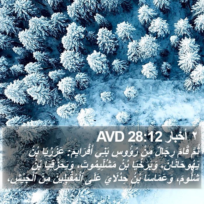 ٢ أخبار 28:12 AVD Bible Study