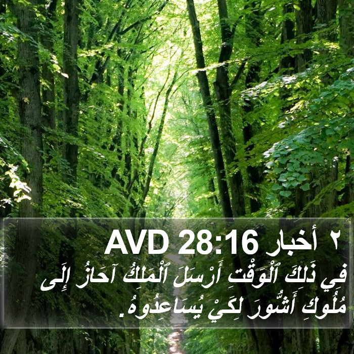 ٢ أخبار 28:16 AVD Bible Study