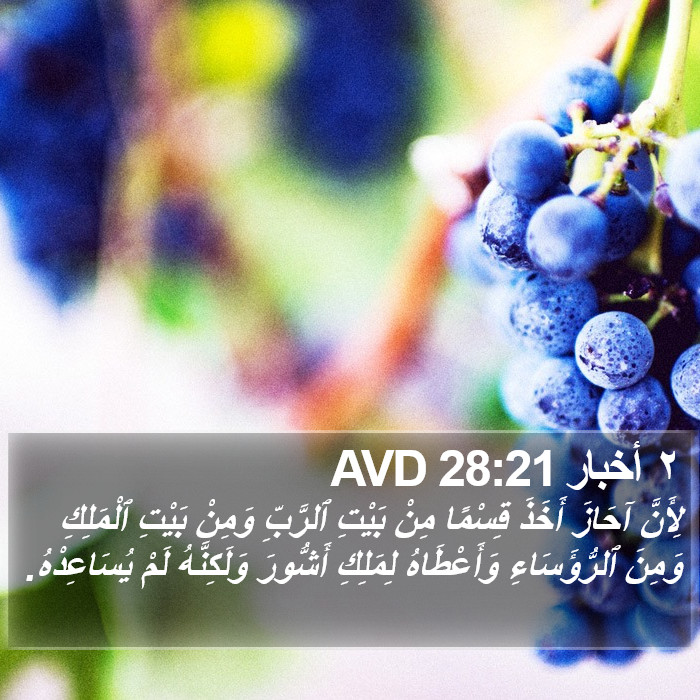 ٢ أخبار 28:21 AVD Bible Study