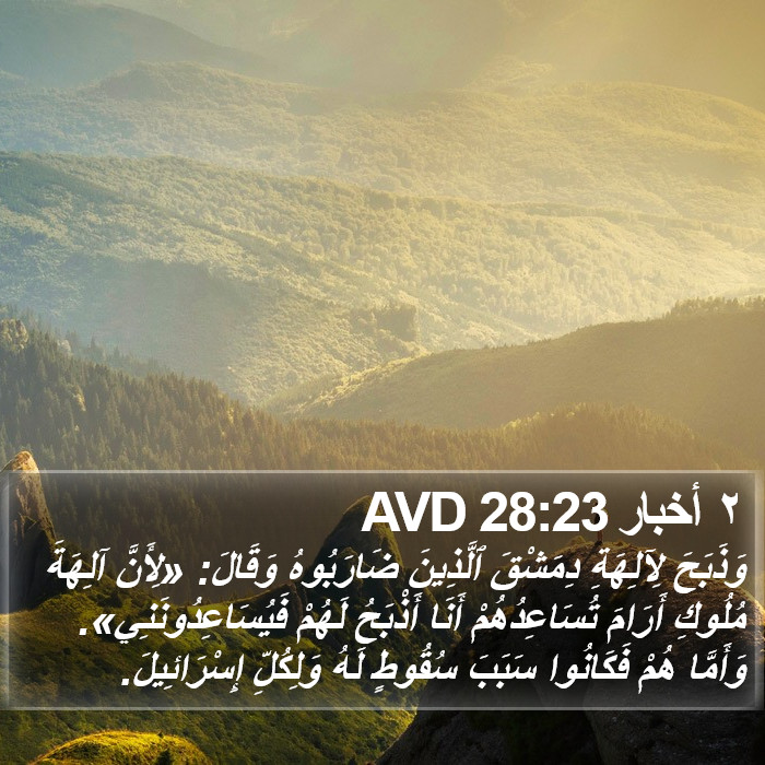 ٢ أخبار 28:23 AVD Bible Study