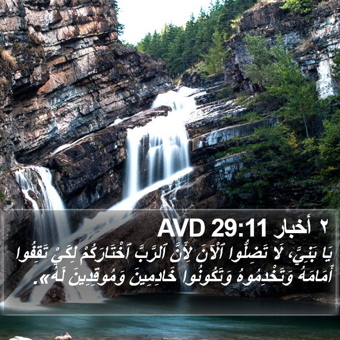 ٢ أخبار 29:11 AVD Bible Study