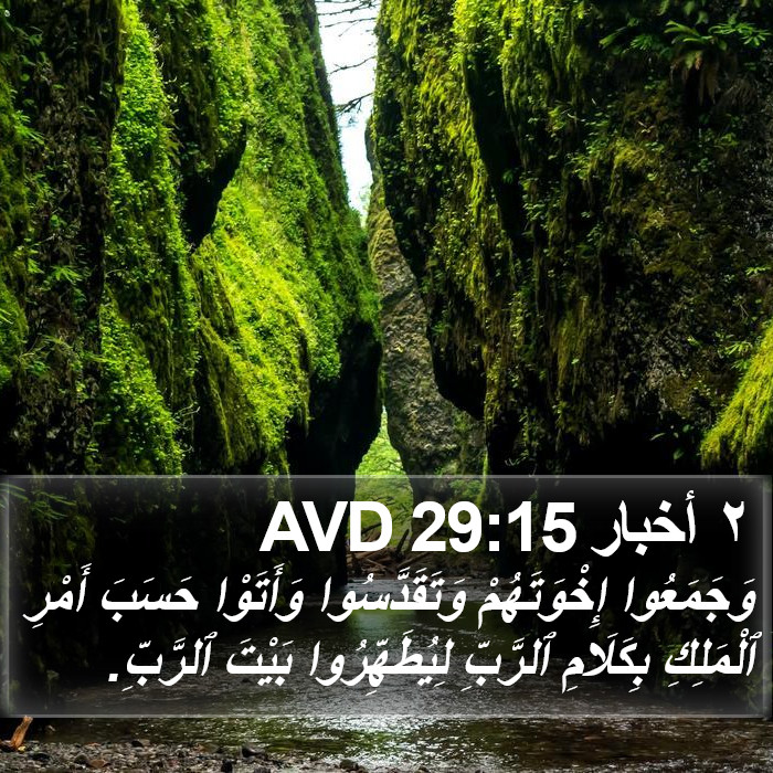 ٢ أخبار 29:15 AVD Bible Study