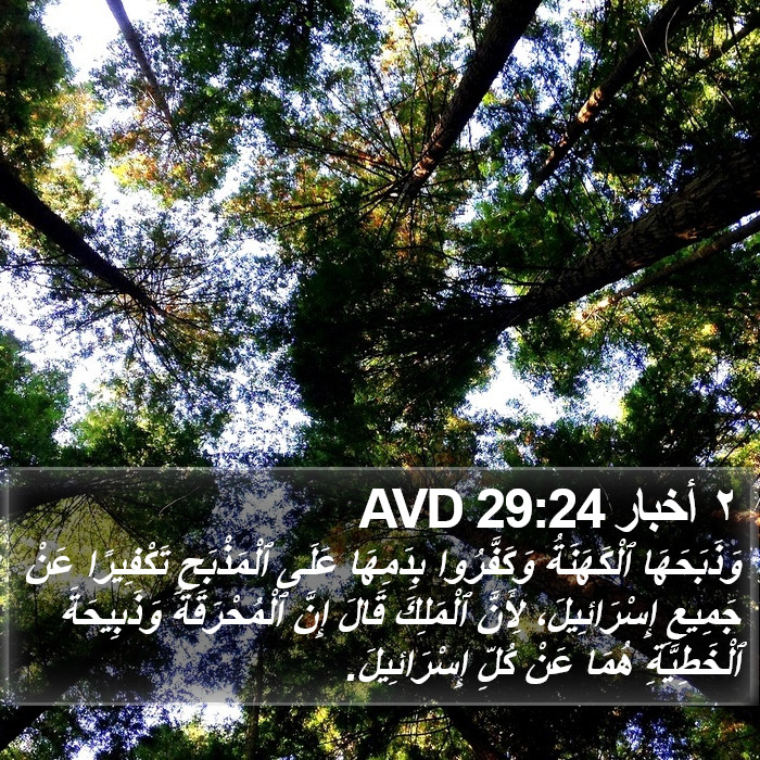 ٢ أخبار 29:24 AVD Bible Study
