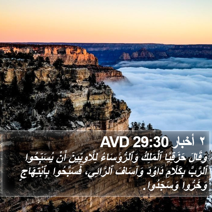 ٢ أخبار 29:30 AVD Bible Study