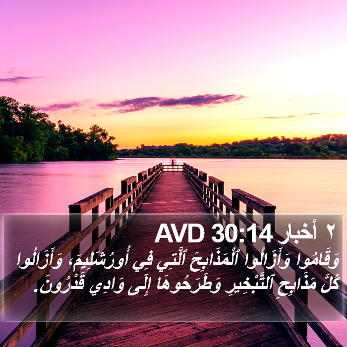 ٢ أخبار 30:14 AVD Bible Study