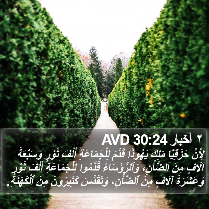 ٢ أخبار 30:24 AVD Bible Study