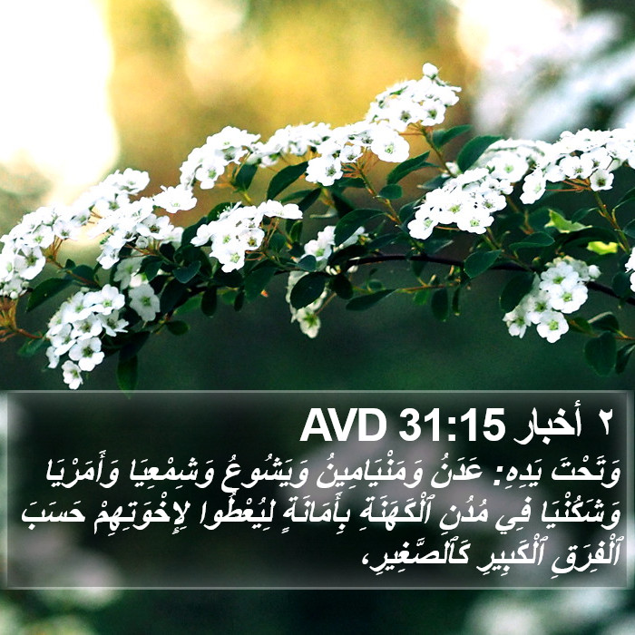 ٢ أخبار 31:15 AVD Bible Study