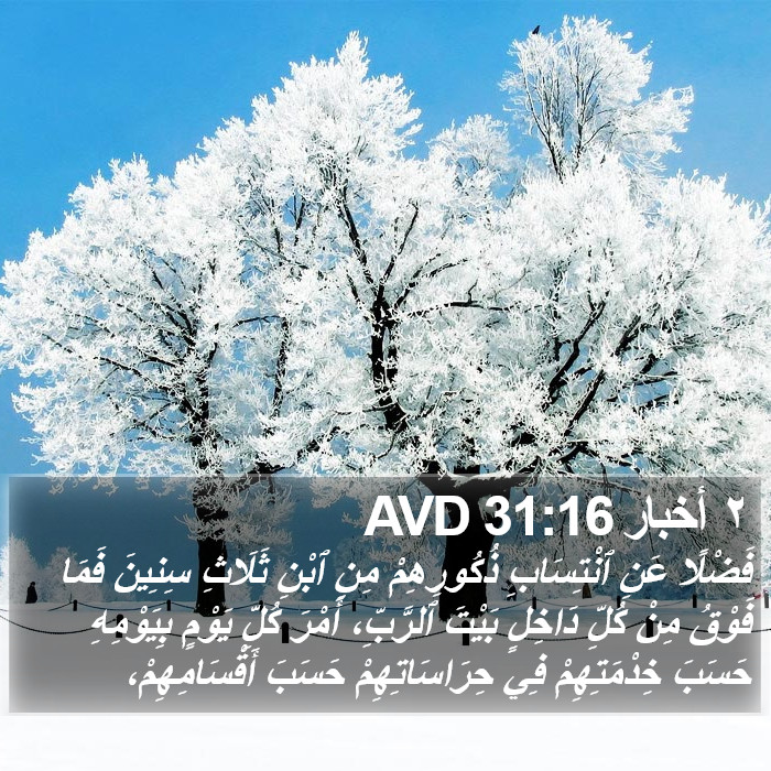 ٢ أخبار 31:16 AVD Bible Study