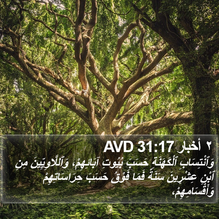 ٢ أخبار 31:17 AVD Bible Study