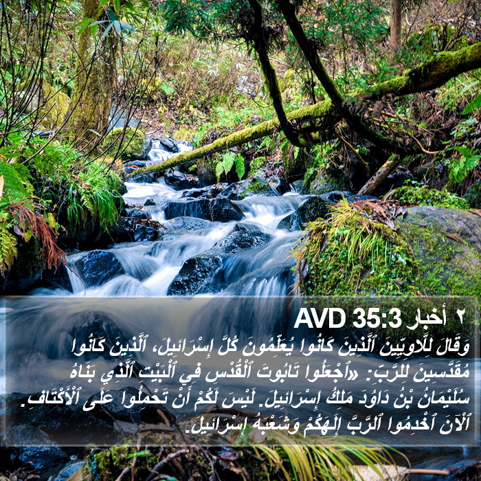 ٢ أخبار 35:3 AVD Bible Study