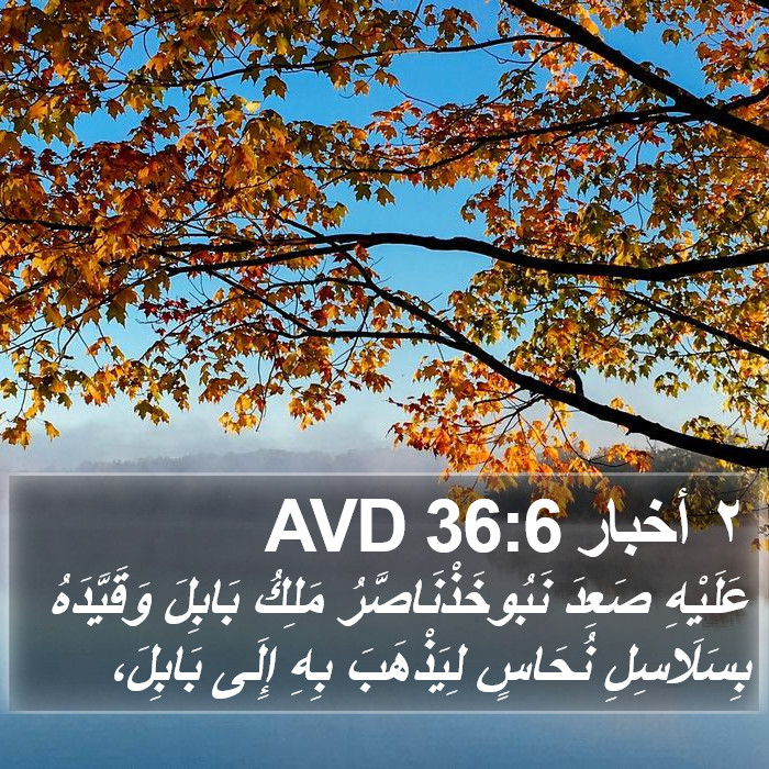 ٢ أخبار 36:6 AVD Bible Study