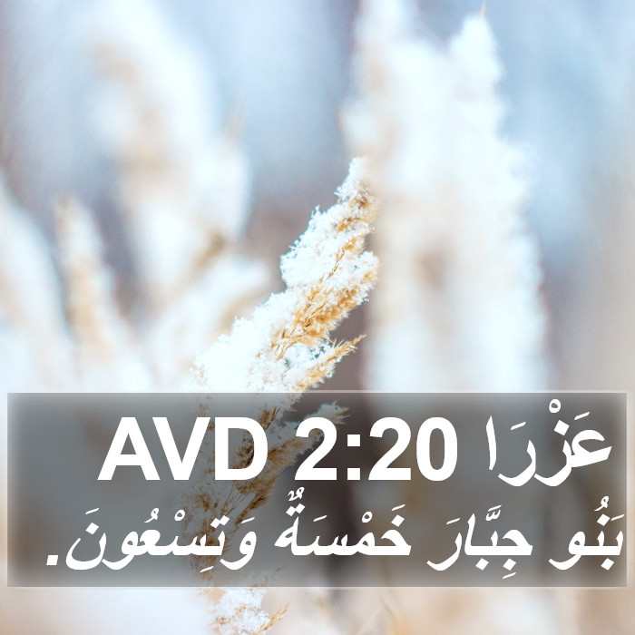 عَزْرَا 2:20 AVD Bible Study