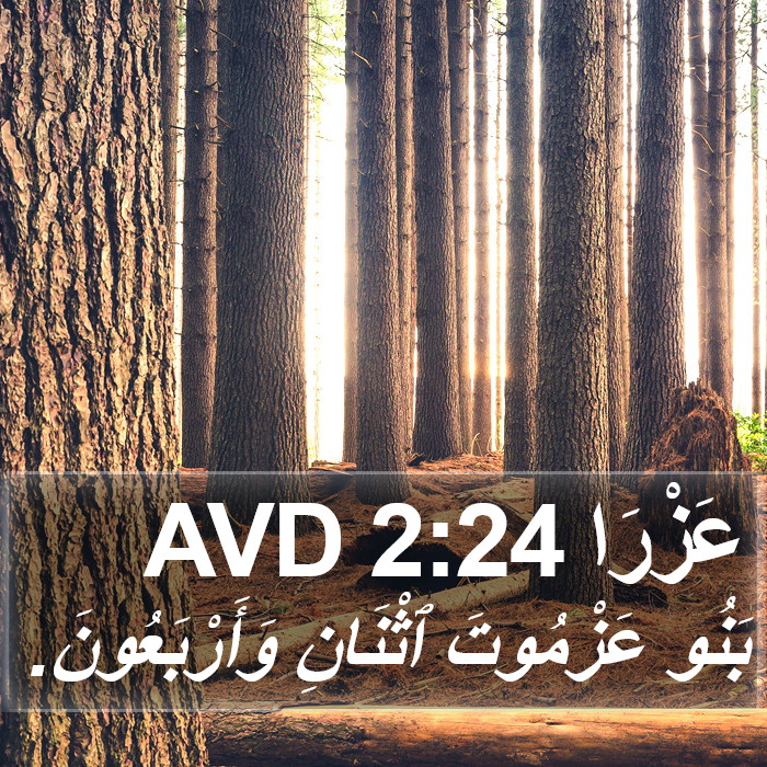 عَزْرَا 2:24 AVD Bible Study