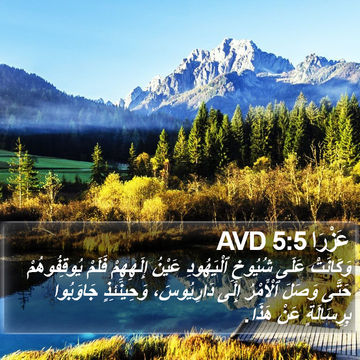 عَزْرَا 5:5 AVD Bible Study