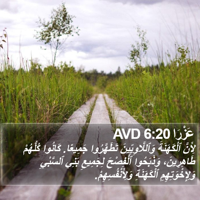 عَزْرَا 6:20 AVD Bible Study