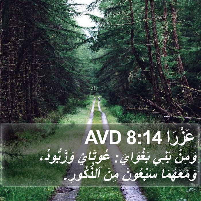 عَزْرَا 8:14 AVD Bible Study