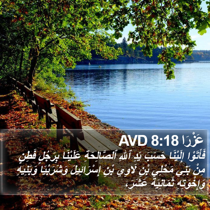 عَزْرَا 8:18 AVD Bible Study
