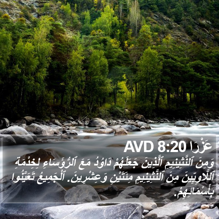 عَزْرَا 8:20 AVD Bible Study