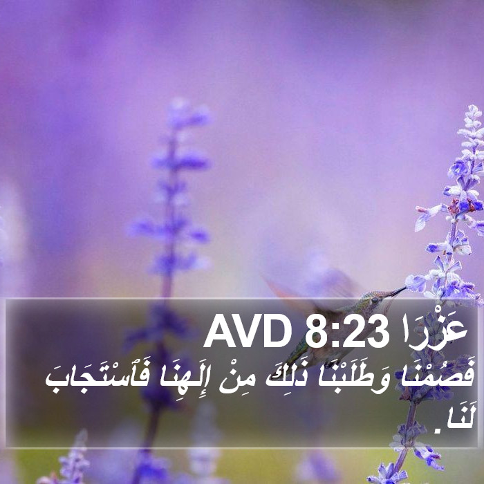عَزْرَا 8:23 AVD Bible Study