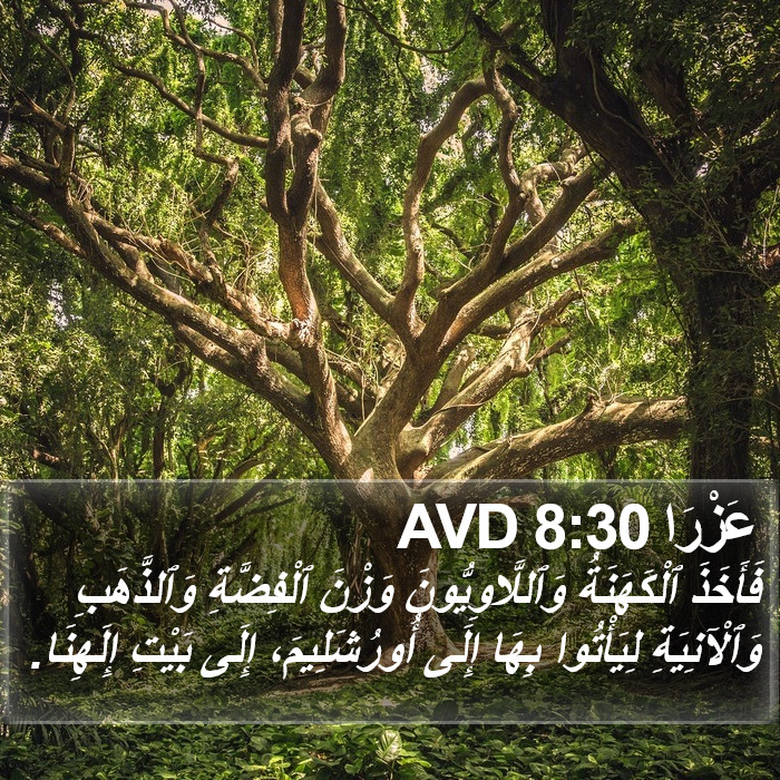 عَزْرَا 8:30 AVD Bible Study