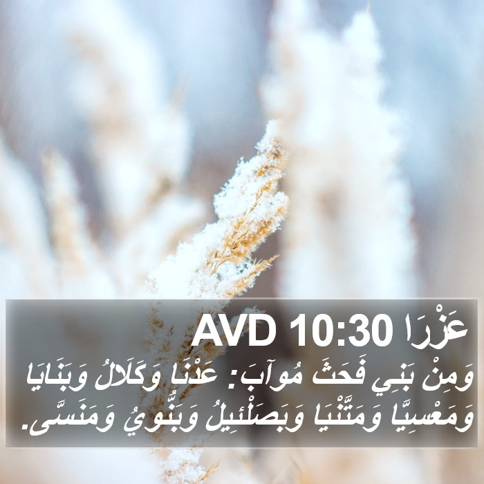 عَزْرَا 10:30 AVD Bible Study