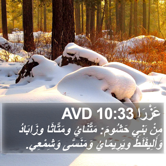 عَزْرَا 10:33 AVD Bible Study