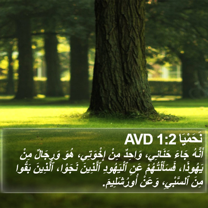 نَحَمْيَا 1:2 AVD Bible Study