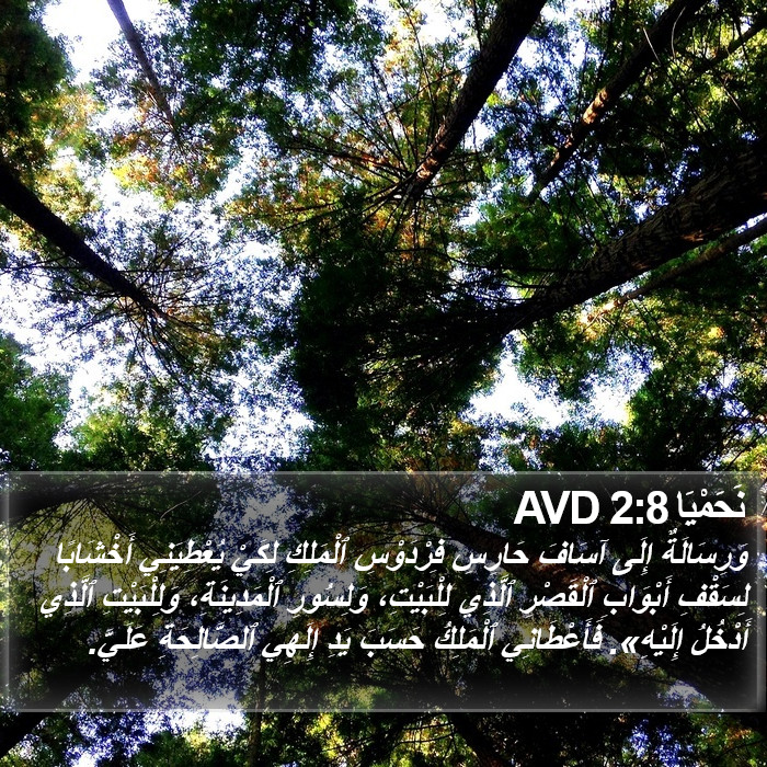 نَحَمْيَا 2:8 AVD Bible Study
