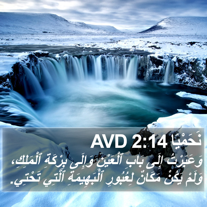 نَحَمْيَا 2:14 AVD Bible Study