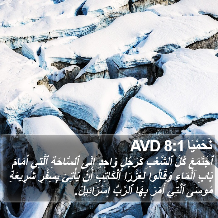 نَحَمْيَا 8:1 AVD Bible Study