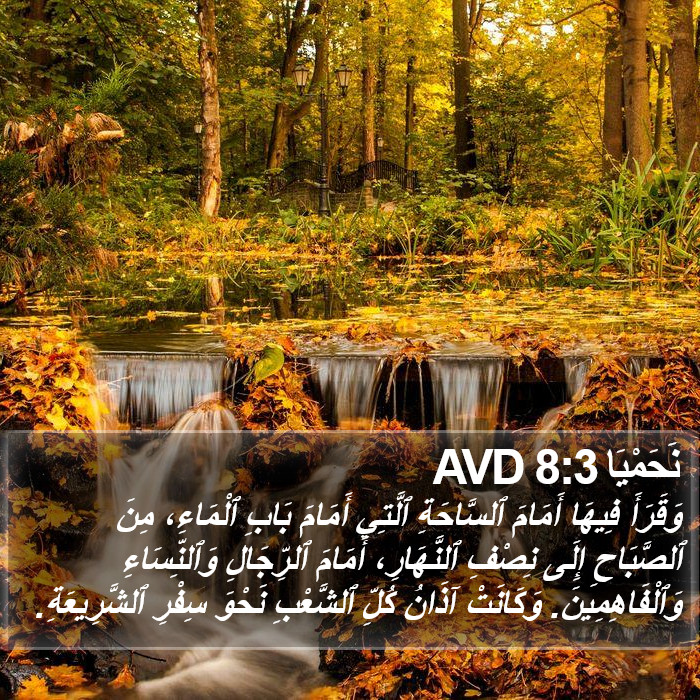 نَحَمْيَا 8:3 AVD Bible Study