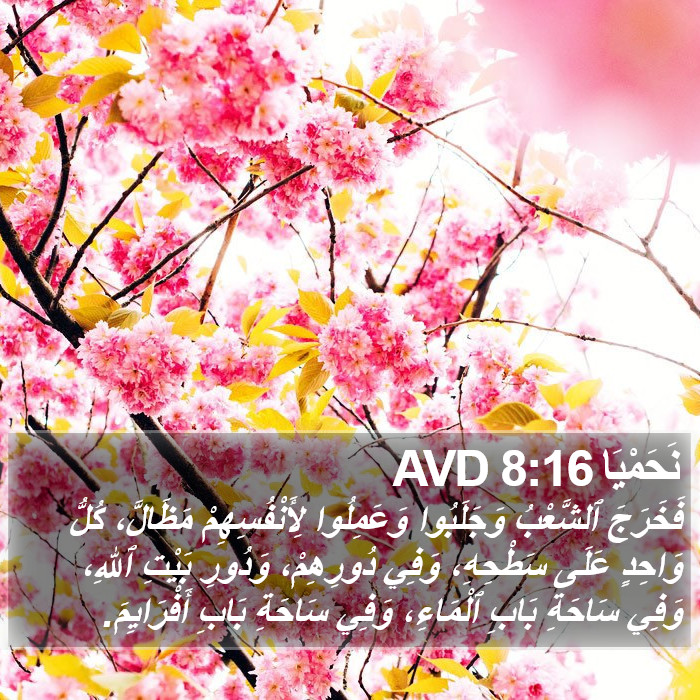 نَحَمْيَا 8:16 AVD Bible Study